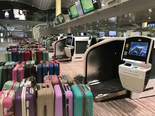 乐都行李托运